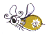 bug