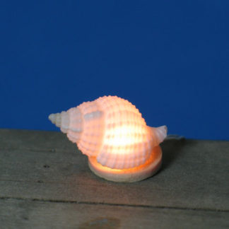 TL 504 Seashell Light