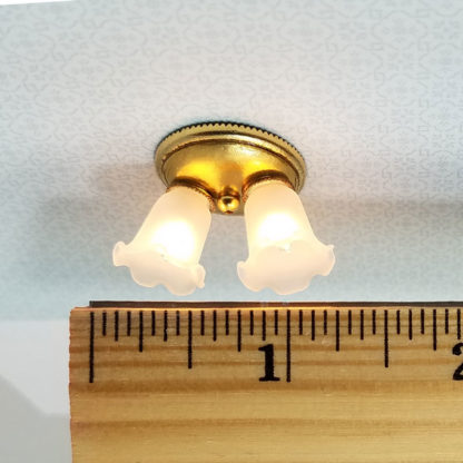 Photo of light with ruler